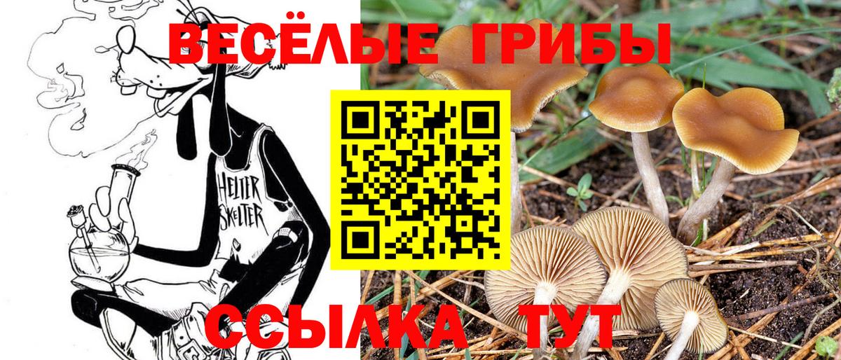 Галлюциногенные грибы прущие грибы Малгобек